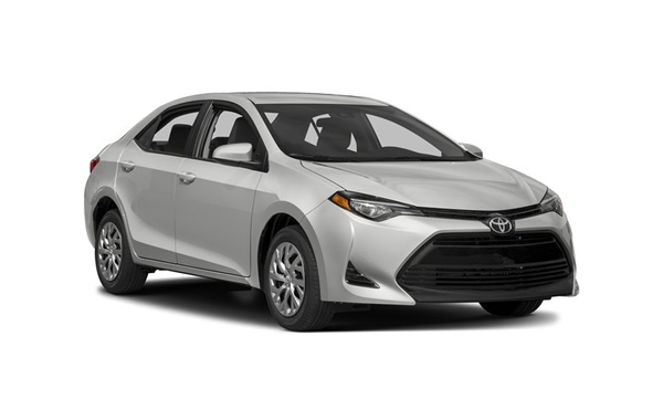 Corolla for rent